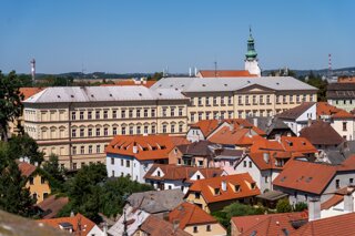 P1196560