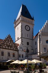 P1196593