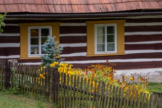 P1197094