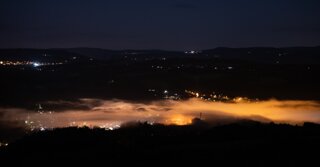 P1197459