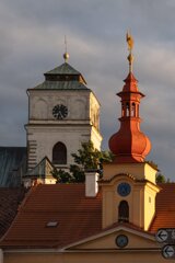 P1197328