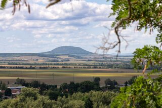 P1207495_edit