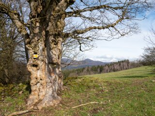 20230416_unbenannt_338