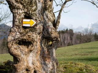 20230416_unbenannt_340