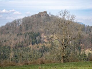 20230416_unbenannt_344-Verbessert-RR