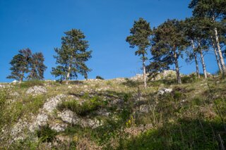 20240405_maehren_156