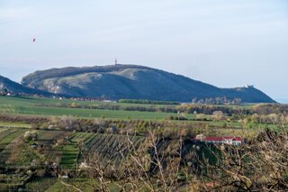 20240405_maehren_211