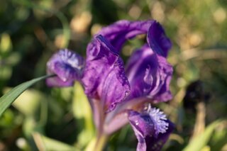 20240405_maehren_215_edit