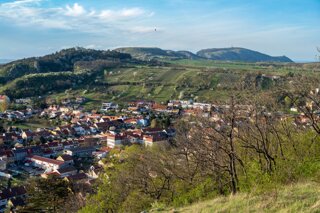 20240405_maehren_233