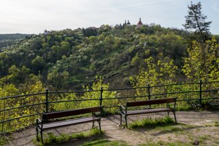 20240406_maehren_362