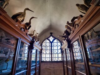 20240407_maehren_553_LuminarNeo-edit