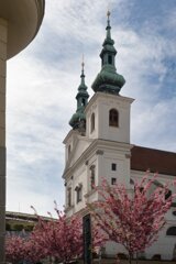 20240408_maehren_639