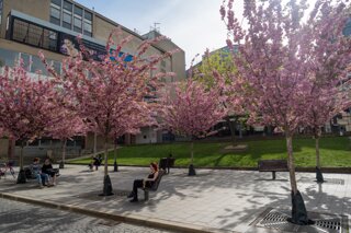 20240408_maehren_793