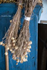 20250611_sudetenvorlandmuseum_179