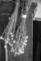 20250611_sudetenvorlandmuseum_179