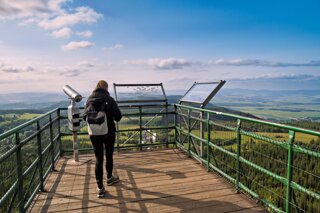 20250611_große_heuscheuer_028_edit