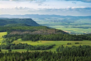 20250611_große_heuscheuer_034_edit