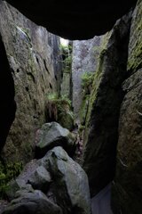 20250611_große_heuscheuer_104