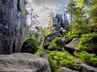 20250611_große_heuscheuer_149-HDR_edit