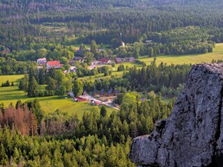 20250611_große_heuscheuer_200-HDR_edit