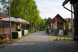 20250611_große_heuscheuer_235