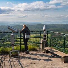 2025-06_11_Große_Heuscheuer