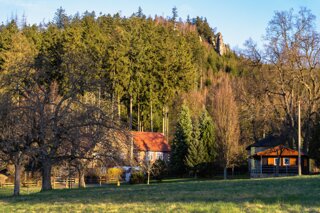 P1130270_edit