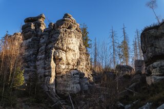 P1130284_edit-2_edit