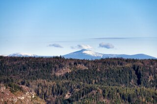 P1130333_edit