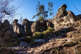 P1130378_edit