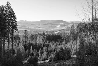 P1130274-02