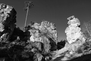 P1130282-01