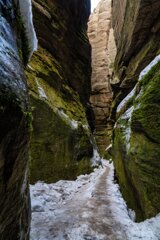 P1131014_edit