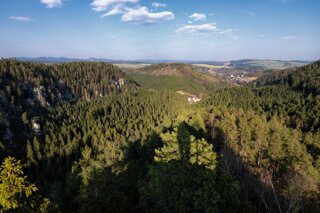 P1131051_edit