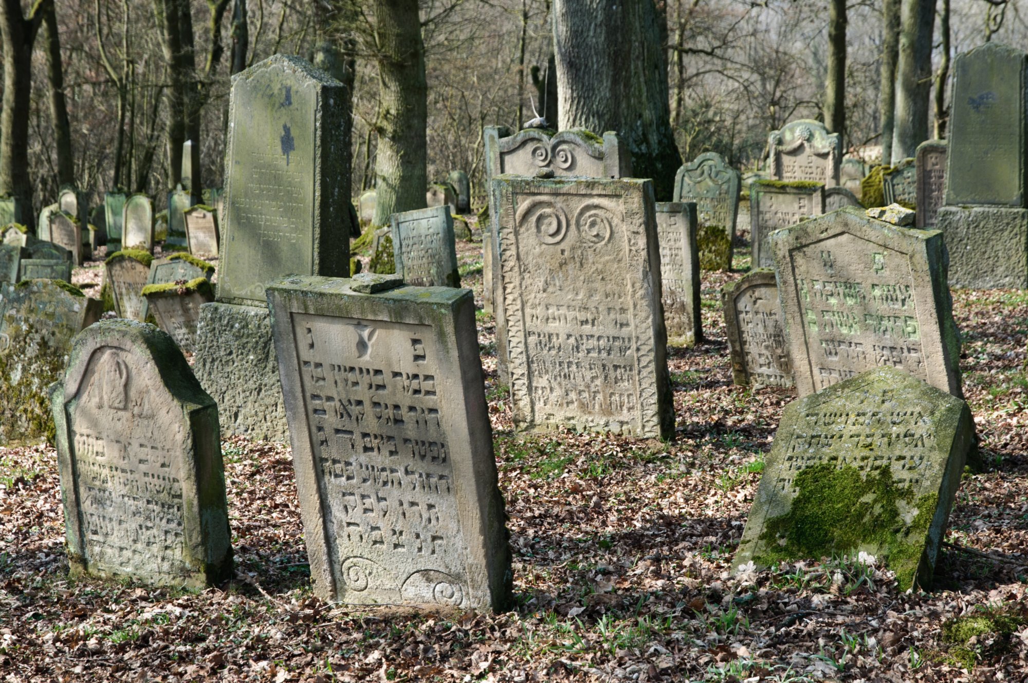 Jüdischer Friedhof Berlichingen Jüdischer Friedhof Berlichingen. Er wurde erstmals 1623 genannt und diente zahlreichen jüdischen Gemeinden der Umgebung als Begräbnisplatz (1706 genannt: Adelsheim, Sennfeld, Merchingen, Amt Krautheim, Hollenbach, Hohebach, Nagelsberg, teilweise auch Braunsbach; dazu bis ins 19./20. Jahrhundert Bieringen, Ernsbach, Künzelsau). Quelle: http://www.alemannia-judaica.de/berlichingen_friedhof.htm Wanderung vom Kloster Schöntal über den jüdischen Friedhof nach Jagsthausen und nach Berlichingen