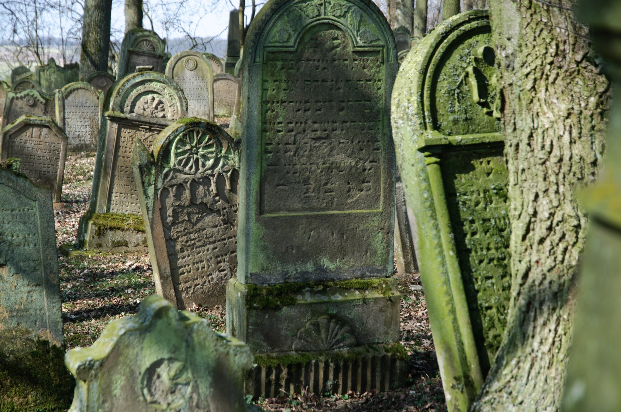 Jüdischer Friedhof Berlichingen Jüdischer Friedhof Berlichingen. Er wurde erstmals 1623 genannt und diente zahlreichen jüdischen Gemeinden der Umgebung als Begräbnisplatz (1706 genannt: Adelsheim, Sennfeld, Merchingen, Amt Krautheim, Hollenbach, Hohebach, Nagelsberg, teilweise auch Braunsbach; dazu bis ins 19./20. Jahrhundert Bieringen, Ernsbach, Künzelsau). Quelle: http://www.alemannia-judaica.de/berlichingen_friedhof.htm Wanderung vom Kloster Schöntal über den jüdischen Friedhof nach Jagsthausen und nach Berlichingen