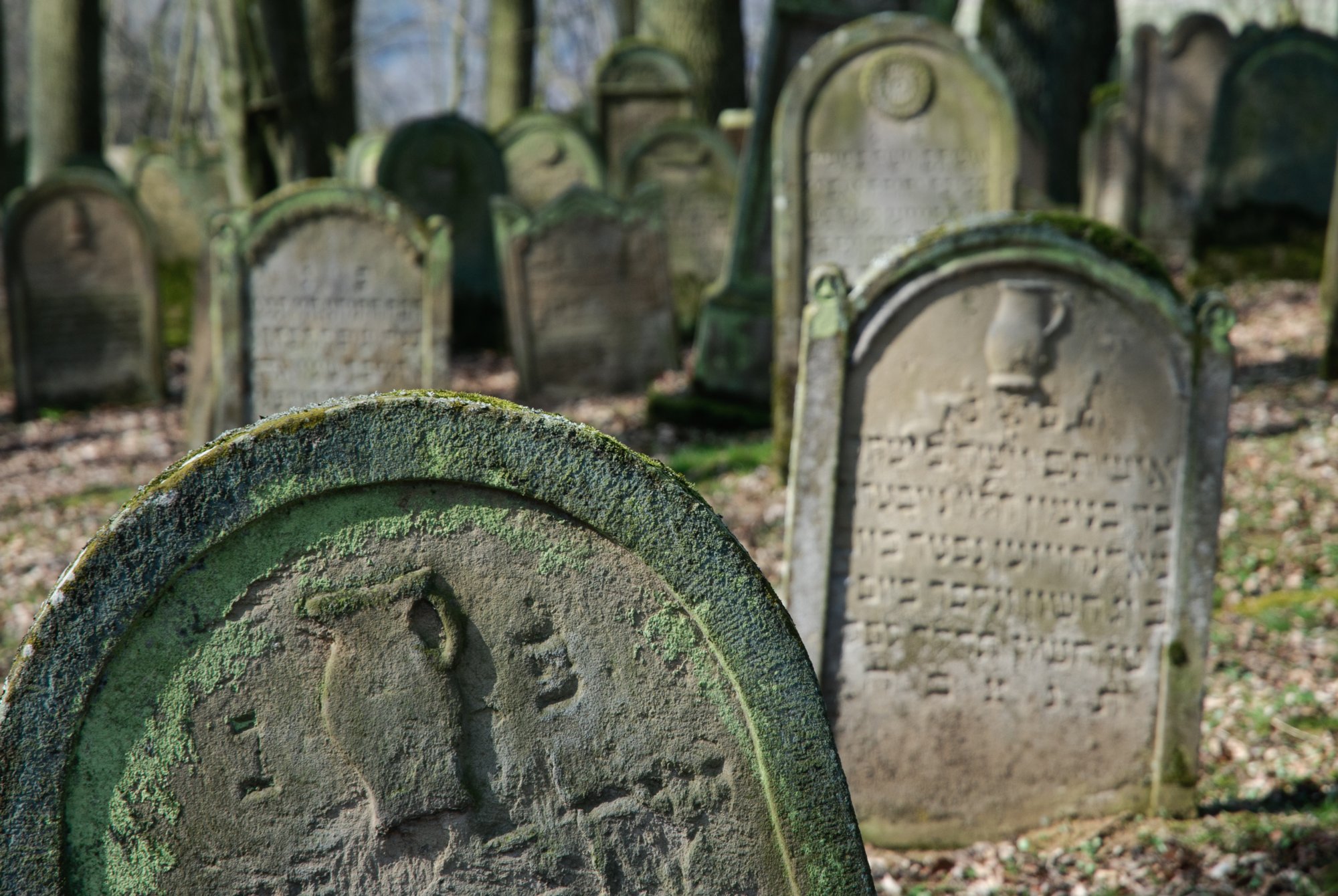 Jüdischer Friedhof Berlichingen Jüdischer Friedhof Berlichingen. Er wurde erstmals 1623 genannt und diente zahlreichen jüdischen Gemeinden der Umgebung als Begräbnisplatz (1706 genannt: Adelsheim, Sennfeld, Merchingen, Amt Krautheim, Hollenbach, Hohebach, Nagelsberg, teilweise auch Braunsbach; dazu bis ins 19./20. Jahrhundert Bieringen, Ernsbach, Künzelsau). Quelle: http://www.alemannia-judaica.de/berlichingen_friedhof.htm Wanderung vom Kloster Schöntal über den jüdischen Friedhof nach Jagsthausen und nach Berlichingen