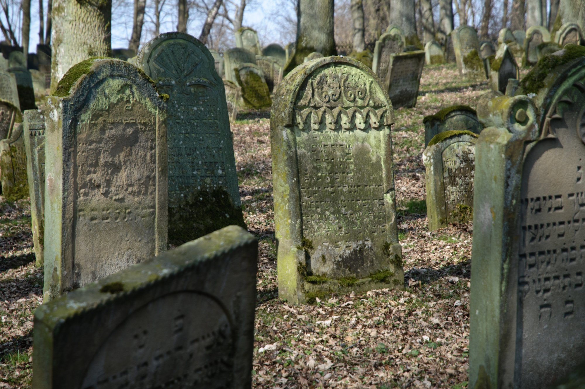 Jüdischer Friedhof Berlichingen Jüdischer Friedhof Berlichingen. Er wurde erstmals 1623 genannt und diente zahlreichen jüdischen Gemeinden der Umgebung als Begräbnisplatz (1706 genannt: Adelsheim, Sennfeld, Merchingen, Amt Krautheim, Hollenbach, Hohebach, Nagelsberg, teilweise auch Braunsbach; dazu bis ins 19./20. Jahrhundert Bieringen, Ernsbach, Künzelsau). Quelle: http://www.alemannia-judaica.de/berlichingen_friedhof.htm Wanderung vom Kloster Schöntal über den jüdischen Friedhof nach Jagsthausen und nach Berlichingen