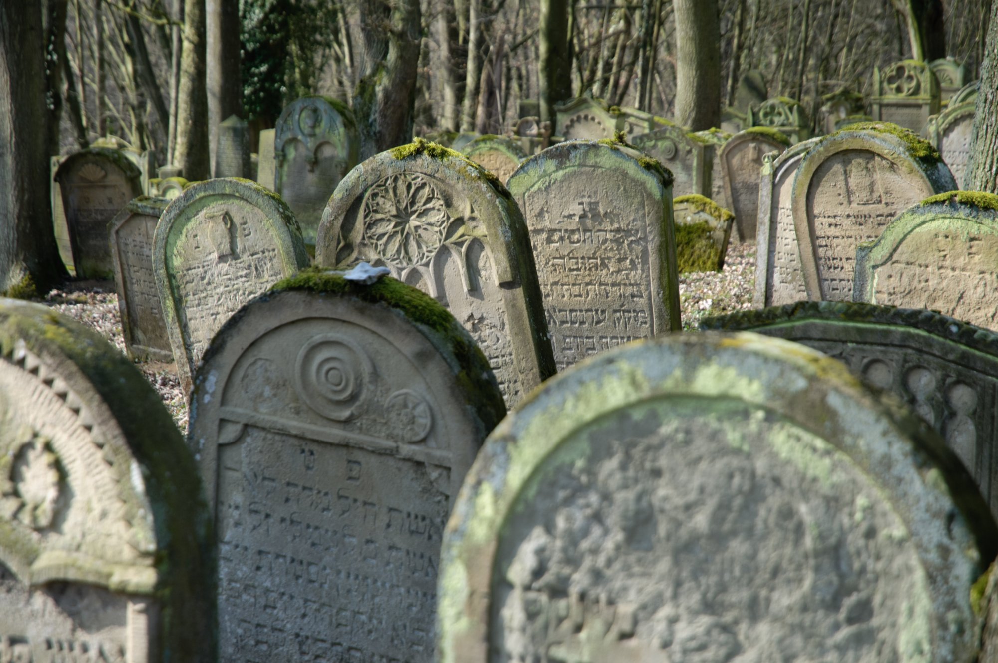 Jüdischer Friedhof Berlichingen Jüdischer Friedhof Berlichingen. Er wurde erstmals 1623 genannt und diente zahlreichen jüdischen Gemeinden der Umgebung als Begräbnisplatz (1706 genannt: Adelsheim, Sennfeld, Merchingen, Amt Krautheim, Hollenbach, Hohebach, Nagelsberg, teilweise auch Braunsbach; dazu bis ins 19./20. Jahrhundert Bieringen, Ernsbach, Künzelsau). Quelle: http://www.alemannia-judaica.de/berlichingen_friedhof.htm Wanderung vom Kloster Schöntal über den jüdischen Friedhof nach Jagsthausen und nach Berlichingen