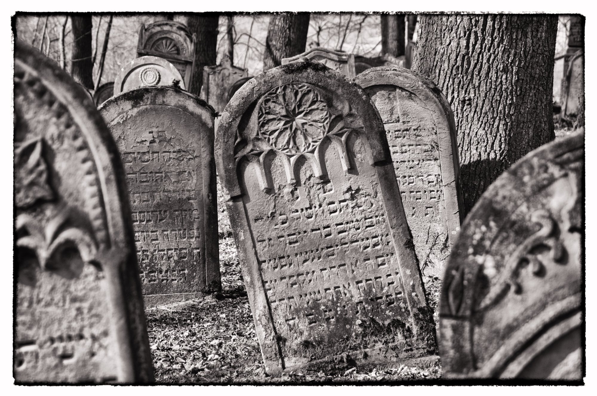 Jüdischer Friedhof Berlichingen Jüdischer Friedhof Berlichingen. Er wurde erstmals 1623 genannt und diente zahlreichen jüdischen Gemeinden der Umgebung als Begräbnisplatz (1706 genannt: Adelsheim, Sennfeld, Merchingen, Amt Krautheim, Hollenbach, Hohebach, Nagelsberg, teilweise auch Braunsbach; dazu bis ins 19./20. Jahrhundert Bieringen, Ernsbach, Künzelsau). Quelle: http://www.alemannia-judaica.de/berlichingen_friedhof.htm Wanderung vom Kloster Schöntal über den jüdischen Friedhof nach Jagsthausen und nach Berlichingen