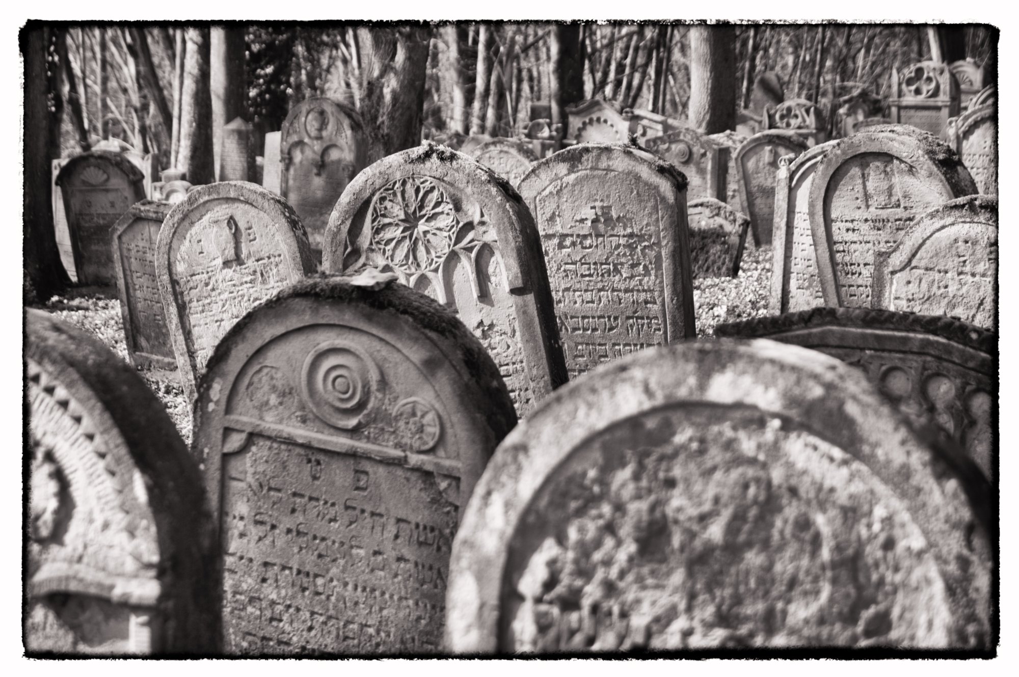 Jüdischer Friedhof Berlichingen Jüdischer Friedhof Berlichingen. Er wurde erstmals 1623 genannt und diente zahlreichen jüdischen Gemeinden der Umgebung als Begräbnisplatz (1706 genannt: Adelsheim, Sennfeld, Merchingen, Amt Krautheim, Hollenbach, Hohebach, Nagelsberg, teilweise auch Braunsbach; dazu bis ins 19./20. Jahrhundert Bieringen, Ernsbach, Künzelsau). Quelle: http://www.alemannia-judaica.de/berlichingen_friedhof.htm Wanderung vom Kloster Schöntal über den jüdischen Friedhof nach Jagsthausen und nach Berlichingen