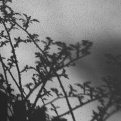 Licht_und_Schatten