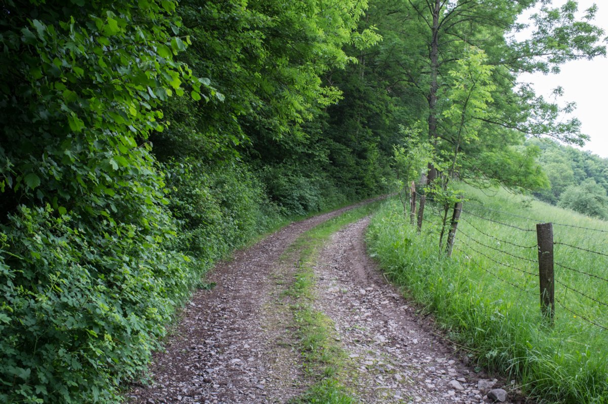 Bühlertalweg zwischen Vellberg und Rappolden Bühlertalweg Abschnitt 3 von Vellberg bis Geislingen (Mündung der Bühler in den Kocher). Zwischen Vellberg und Rappolden. Schönster Teil des Abschnitts.