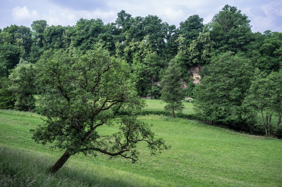 Rappolden Rappolden. Bühlertalweg Abschnitt 3 von Vellberg bis Geislingen (Mündung der Bühler in den Kocher). Bei Rappolden