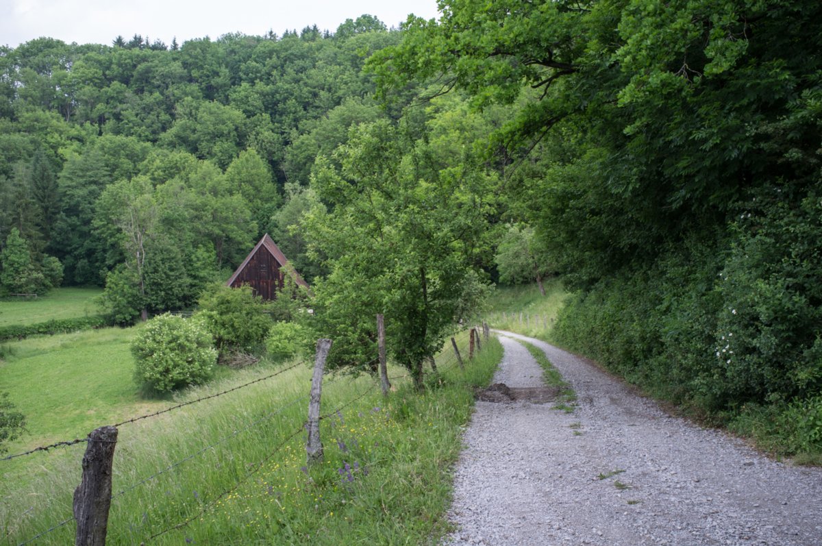 Rappolden Rappolden. Bühlertalweg Abschnitt 3 von Vellberg bis Geislingen (Mündung der Bühler in den Kocher). Rappolden: Die älteste Urkunde über Rappolden stammt von 1362. Konrad Alt verkaufte 1370 seinen 4. Teil an der Mühle zu Rappolden an den Frühmesser zu Stöckenburg. Noch Jahrhunderte später wird die Gült anteilig an das Amt Vellberg, den Heiligenpfleger zu Stöckenburg und den Pfarrer zu Anhausen bezahlt. Dir Müller Michael Schmidt kaufte die Mühle 1578 von seinen Geschwistern. Nach 1600 taucht der Name Mack auf, über hundert Jahre lang Österlin, 1847 dann Maaß, der die Sägemühle 1865 erweitert. 1803 war die Sägemühle angebaut worden, 1804 bestand die Mahlmühle aus einem Gerb- und zwei Mahlgängen. 1802/03 kam Rappolden im Zuge der napoleonischen Mediatisierung zu Untersontheim, kehrte aber 1845 mit Talheim wieder in den Vellberger Gemeindeverband zurück. Der Weiler zählte damals zwölf Einwohner. 1906 folgt auf Hönnige der Müller Wilhelm Meister, danach Friedrich Noller. Den Erbhof kaufte 1944 Oberingenieur Friedrich Hoyler. Das Gut hatte etwa 80 Morgen Äcker und Wiesen, jedoch liefen Mühle und Sägmühle nicht mehr. 1950 verkaufte er das Gut an die Firma Zement-Schwenk. Nach 600 Jahren Ortsgeschichte von Rappolden hat die letzte Pächterfamilie Lemke 1970 altershalber den Weiler verlassen. 1986 stürzte das dominierende Wohn- und Mahlmühlengebäude, ein Baudenkmal, zusammen. Heute steht in Rappolden nur noch eine Scheune.