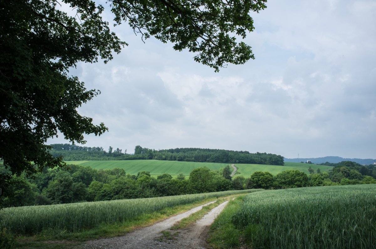 Bühlertalweg zwischen Rappolden und Anhausen Bühlertalweg Abschnitt 3 von Vellberg bis Geislingen (Mündung der Bühler in den Kocher). Wegabschnitt zwischen Rappolden und Anhausen.