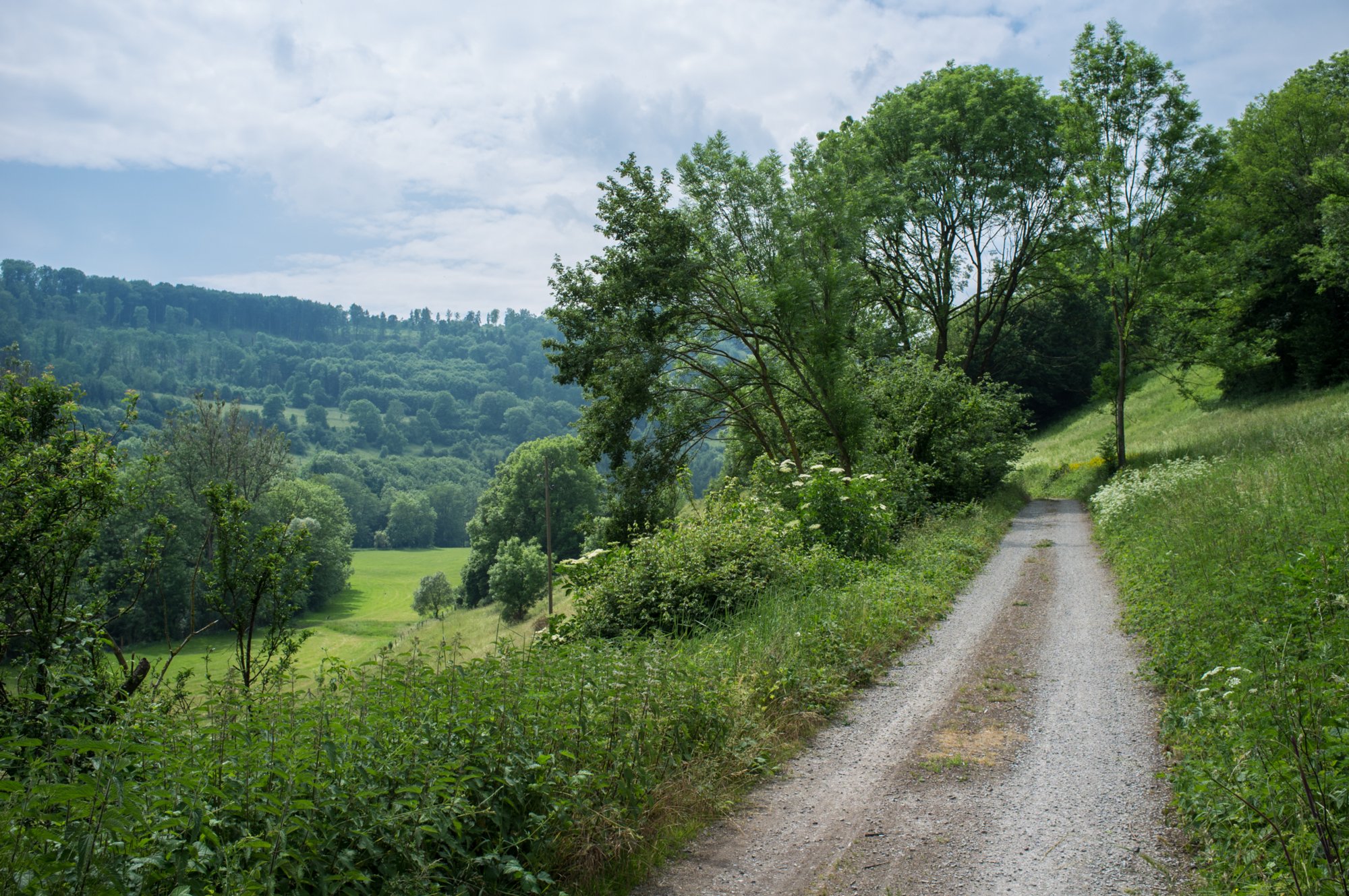 Bühlertal zwischen Gröffelbach und Geislingen Bühlertalweg Abschnitt 3 von Vellberg bis Geislingen (Mündung der Bühler in den Kocher). Zwischen Gröffelbach und Geislingen.