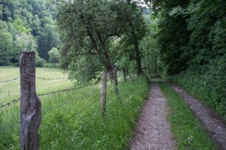 20120602_vellberg-geislingen_071