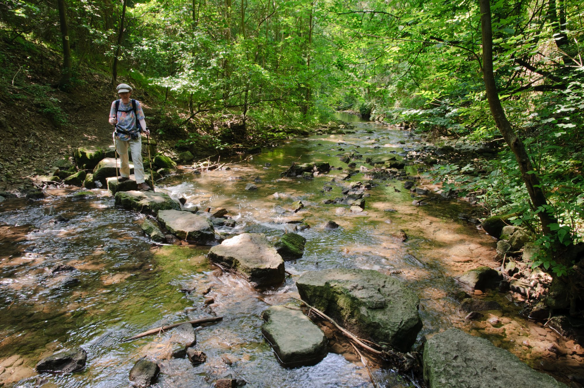 Der Staig führt über auf großen Felsbrocken über die Gronach Wanderung von Gröningen über die Klosterruine Anhausen, Bölgental, Jagsttal und Hammerschmiede zurück nach Gröningen.