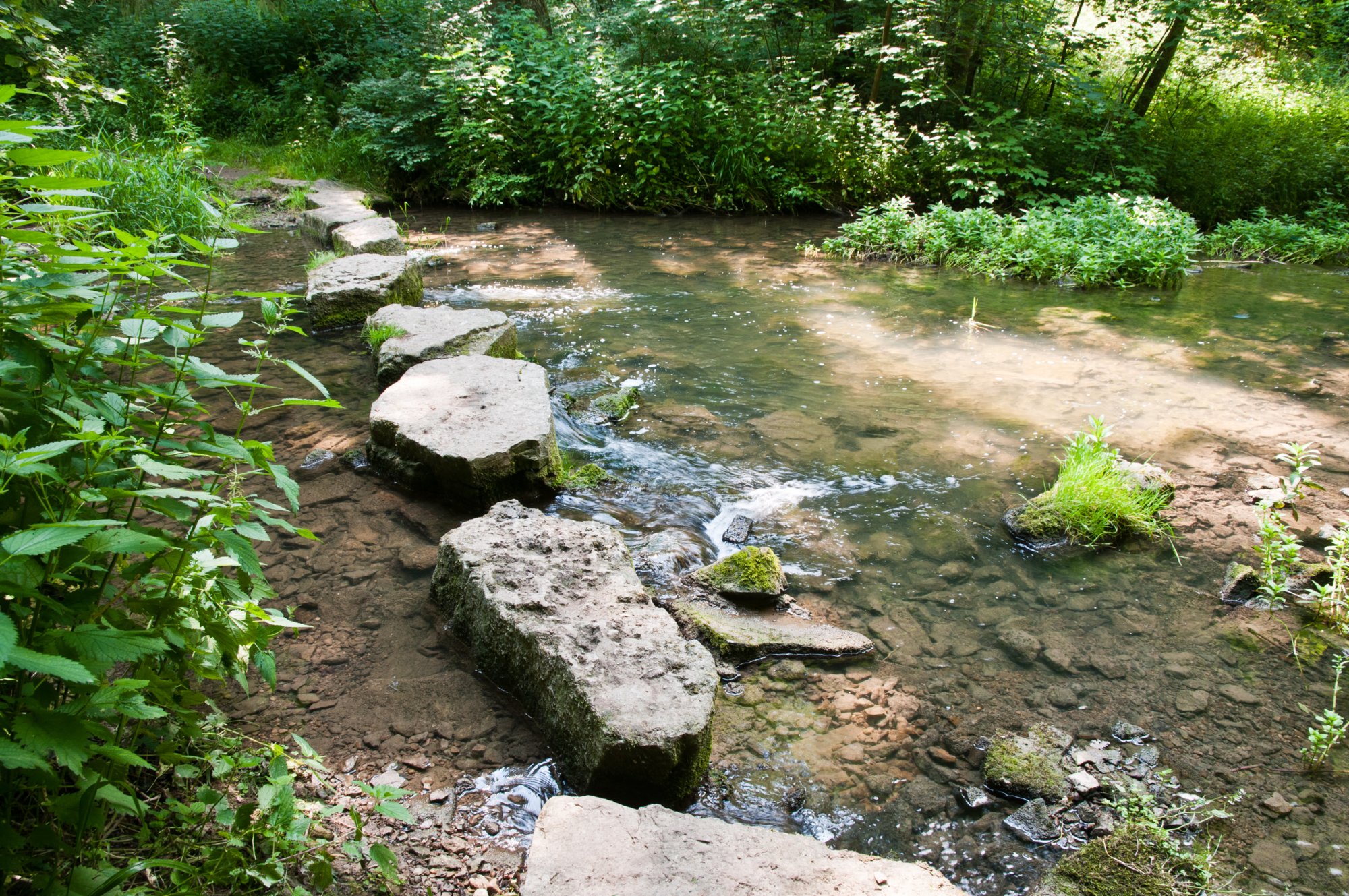 Der Staig führt über auf großen Felsbrocken über die Gronach Wanderung von Gröningen über die Klosterruine Anhausen, Bölgental, Jagsttal und Hammerschmiede zurück nach Gröningen.